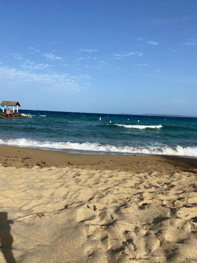Coteplage * Le Lavandou